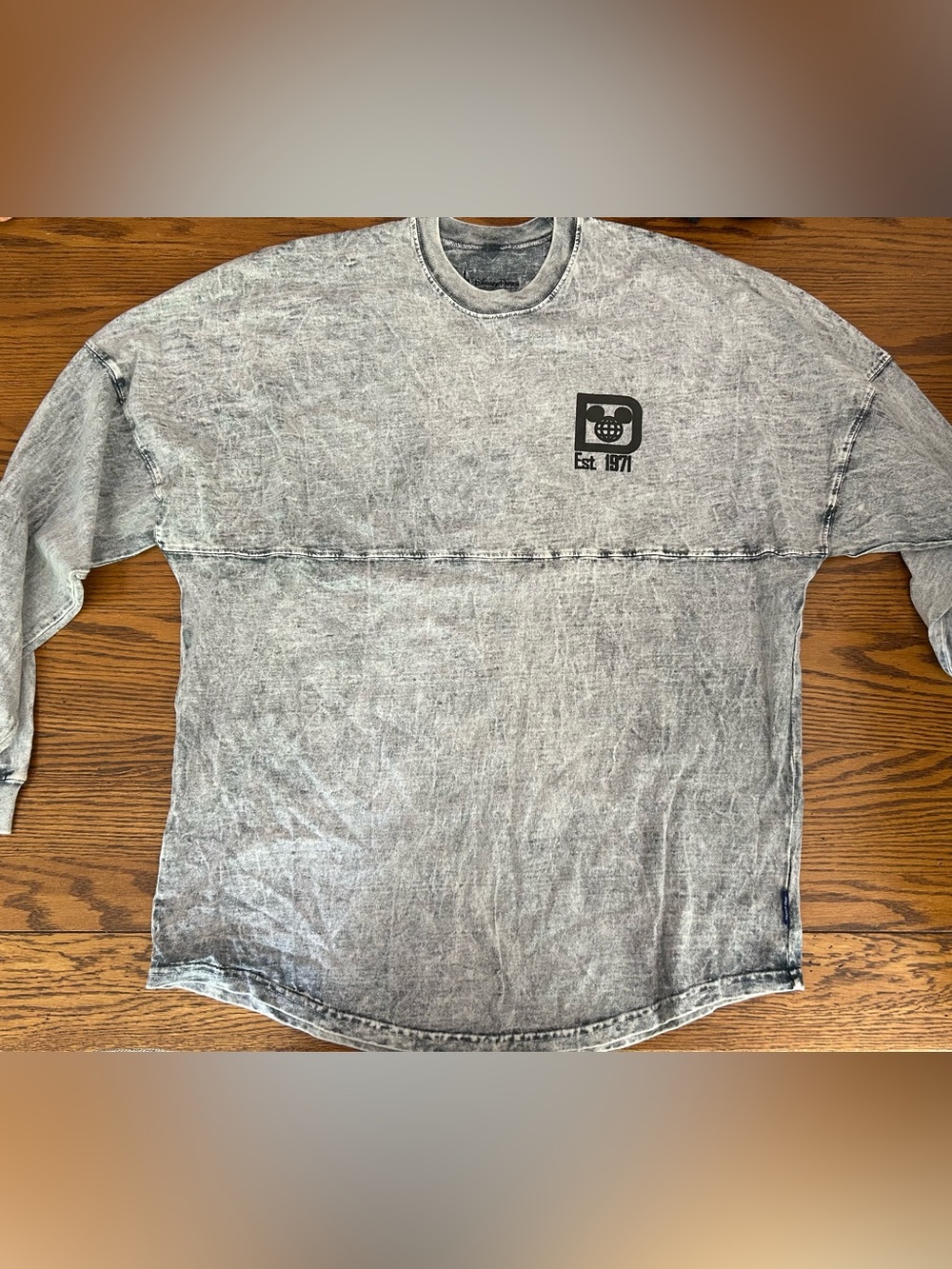 Walt Disney World Men’s Large Acid Wash Spirit Jersey